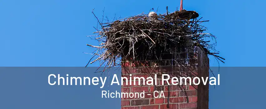 Chimney Animal Removal Richmond - CA