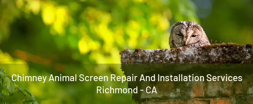 Chimney Animal Screen Repair And Installation Services Richmond - CA